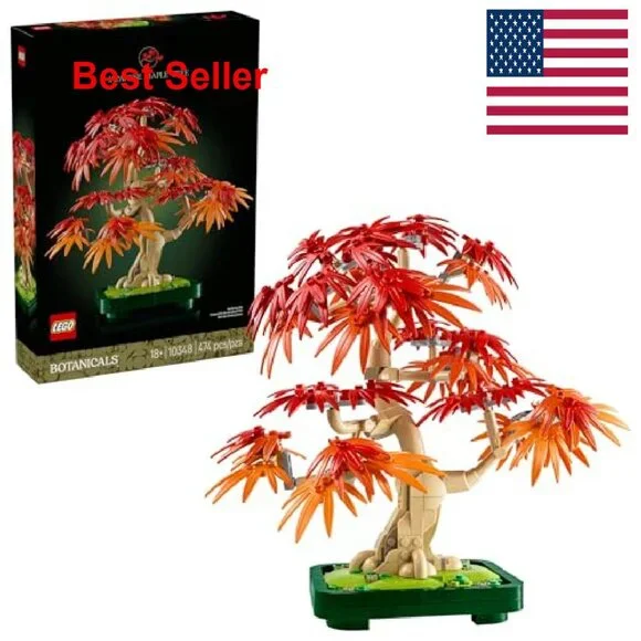 Botanical Bonsai Tree Building Kit Adult DIY Craft Home Decor Unique